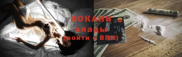прущие грибы Гусь-Хрустальный