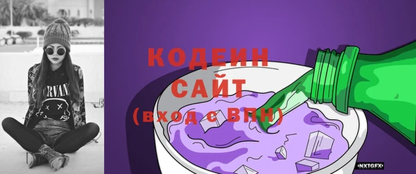 прущие грибы Гусь-Хрустальный