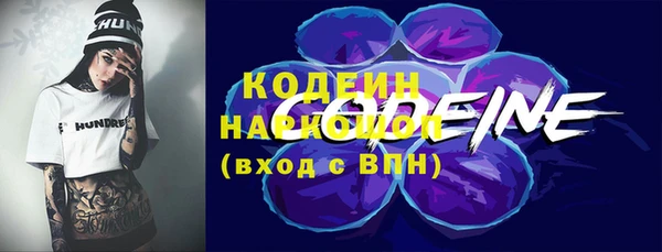 прущие грибы Гусь-Хрустальный