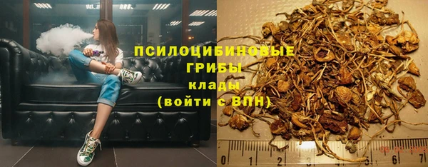 MDMA Дмитриев