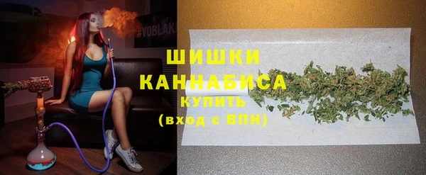 прущие грибы Гусь-Хрустальный
