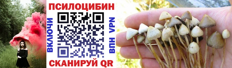 где можно купить наркотик  Калининск  Псилоцибиновые грибы Magic Shrooms 